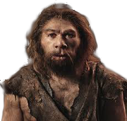 Homo sapiens neanderthalensis